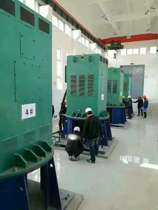 广州某污水处理厂使用我厂的立式高压电机安装现场